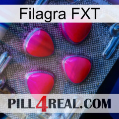 Filagra FXT 13